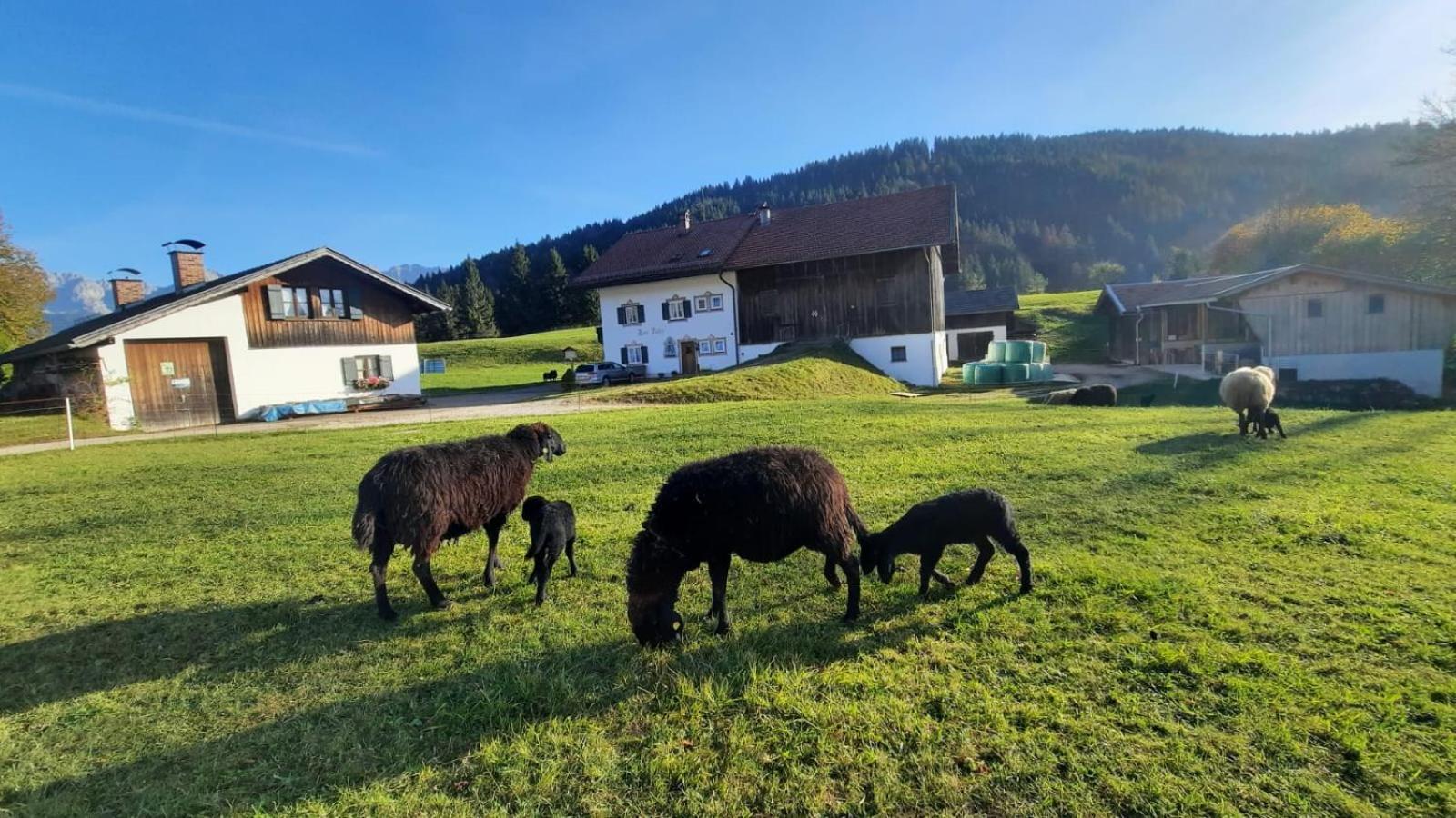 Bauernhaus Jocher Крун Экстерьер фото